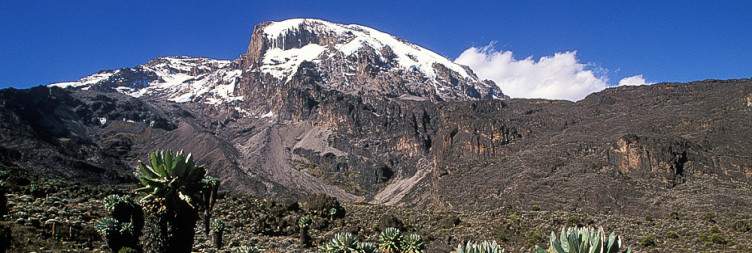 Mount_Kilimanjaro_008