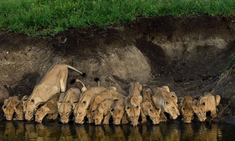 Arusha-National-Park